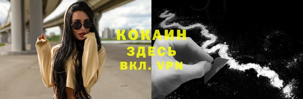 гидра Михайловка