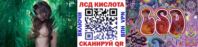 мега зеркало  Муравленко  Наркотические марки 1500мкг 